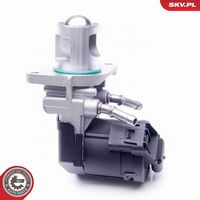 ESEN SKV 14SKV169 - Válvula EGR