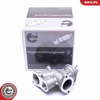 ESEN SKV 14SKV180 - Válvula EGR