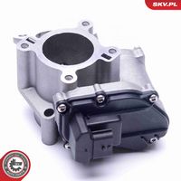 ESEN SKV 14SKV184 - Válvula EGR