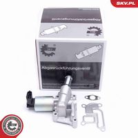 ESEN SKV 14SKV207 - Válvula EGR