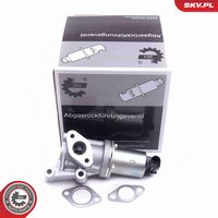 ESEN SKV 14SKV213 - Válvula EGR