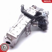 ESEN SKV 14SKV235 - Válvula EGR