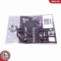 ESEN SKV 14SKV500 - Kit de reparación, válvula EGR