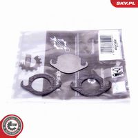 ESEN SKV 14SKV506 - Kit de reparación, válvula EGR