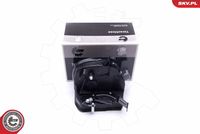 ESEN SKV 16SKV812 - Cerradura de puerta