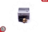 ESEN SKV 17SKV620 - Sensor, presión combustible