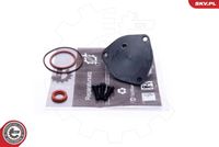 ESEN SKV 18SKV800 - kit reparación, bomba vacío (frenos)