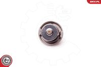 ESEN SKV 20SKV048 - Termostato, refrigerante