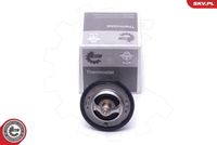 ESEN SKV 20SKV131 - Termostato, refrigerante
