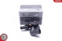 ESEN SKV 20SKV180 - Termostato, refrigerante