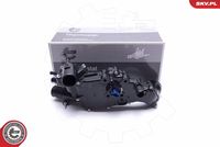 ESEN SKV 20SKV161 - Termostato, refrigerante