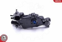 ESEN SKV 20SKV161 - Termostato, refrigerante