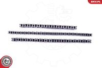 ESEN SKV 21SKV196 - Juego de cadena de distribución