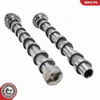 ESEN SKV 21SKV272 - Kit de árbol de levas