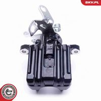 ESEN SKV 23SKV004 BLACK - Pinza de freno