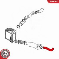 ESEN SKV 24SKV924 - Tubo flexible de aire de sobrealimentación