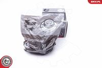 ESEN SKV 29SKV173 - Juego de cojinete de rueda