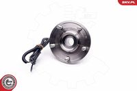 ESEN SKV 29SKV174 - Juego de cojinete de rueda