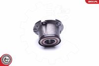 ESEN SKV 29SKV217 - Juego de cojinete de rueda