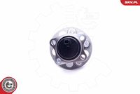 ESEN SKV 29SKV289 - Juego de cojinete de rueda