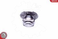 ESEN SKV 29SKV295 - Juego de cojinete de rueda