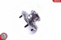 ESEN SKV 29SKV313 - Juego de cojinete de rueda