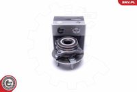 ESEN SKV 29SKV460 - Juego de cojinete de rueda
