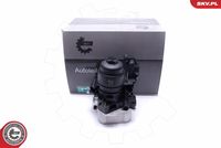 ESEN SKV 31SKV169 - Radiador de aceite, aceite motor