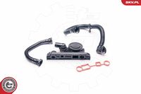 ESEN SKV 31SKV003 - Kit de reparación, ventilación del cárter