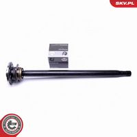 ESEN SKV 29SKV999 - Juego de cojinete de rueda