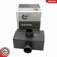 ESEN SKV 31SKV418 - Separador de aceite, ventilación del cárter