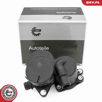 ESEN SKV 31SKV424 - Separador de aceite, ventilación del cárter