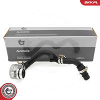 ESEN SKV 31SKV431 - Válvula, ventilación del cárter