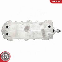 ESEN SKV 31SKV362 - Radiador de aceite, aceite motor