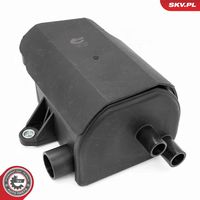 ESEN SKV 31SKV422 - Separador de aceite, ventilación del cárter