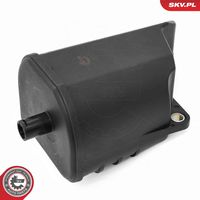 ESEN SKV 31SKV429 - Separador de aceite, ventilación del cárter
