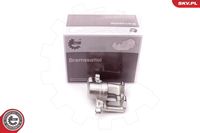ESEN SKV 34SKV313 - Pinza de freno
