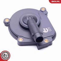 ESEN SKV 31SKV062 - Separador de aceite, ventilación del cárter