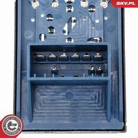 ESEN SKV 37SKV206 - Interruptor, elevalunas