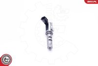 ESEN SKV 39SKV031 - Válvula control, ajuste de levas