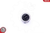 ESEN SKV 39SKV047 - Válvula control, ajuste de levas