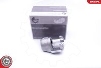 ESEN SKV 42SKV672 - Pinza de freno