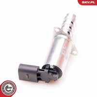ESEN SKV 39SKV009 - Válvula control, ajuste de levas