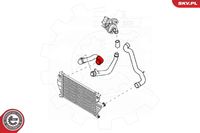 ESEN SKV 43SKV198 - Tubo flexible de aire de sobrealimentación