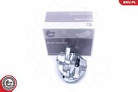 ESEN SKV 45SKV263 - Pinza de freno