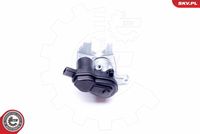 ESEN SKV 44SKV438 - Pinza de freno