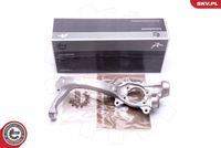 ESEN SKV 47SKV261 - Muñón del eje, suspensión de rueda