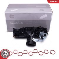 ESEN SKV 49SKV077 - Módulo colector de admisión