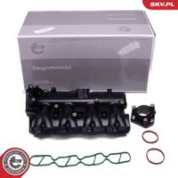 ESEN SKV 49SKV081 - Módulo colector de admisión