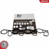 ESEN SKV 49SKV511 - Kit de reparación, módulo de tubo de aspiración